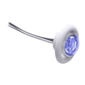 Innovative Lighting LED Bulkhead/Livewell Light "The Shortie" Blue LED w/ White Grommet - Fishing Monsters