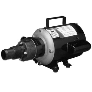 Jabsco Macerator Pump - 115V - Fishing Monsters