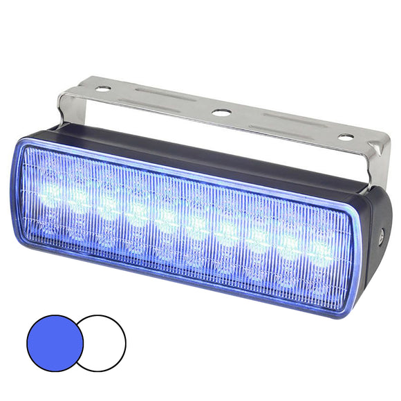 Hella Marine Sea Hawk XL Dual Color LED Floodlights - Blue/White LED - Black Housing - Fishing Monsters