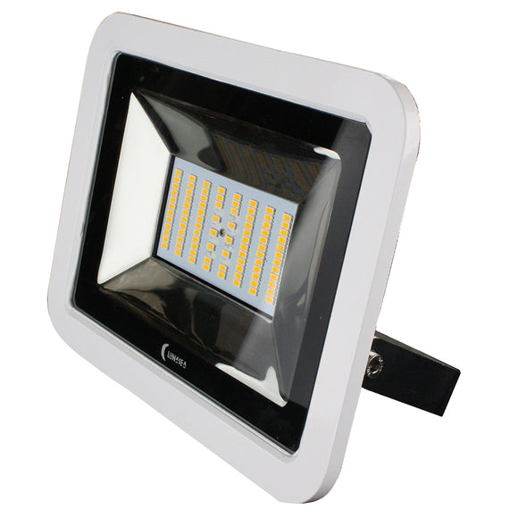 Lunasea 35W Slimline LED Floodlight, 12/24V, Cool White, 4800 Lumens, 3' Cord - White Housing - Fishing Monsters