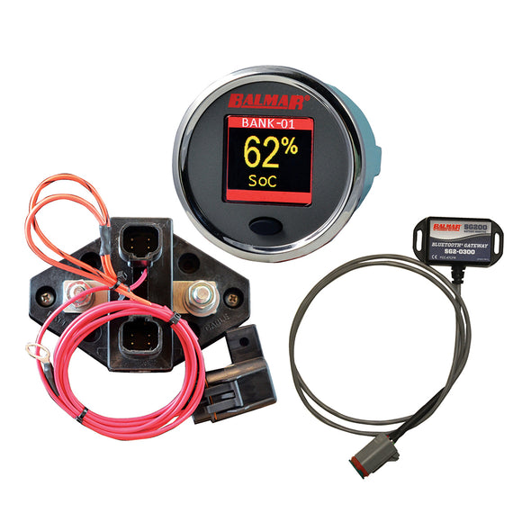 Balmar SG210 Battery Monitor Kit w/Display Shunt Gateway - Fishing Monsters