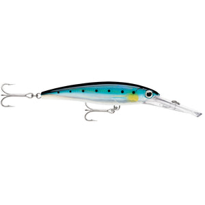 Rapala X-Rap® Magnum® 15 Blue Sardine - Fishing Monsters