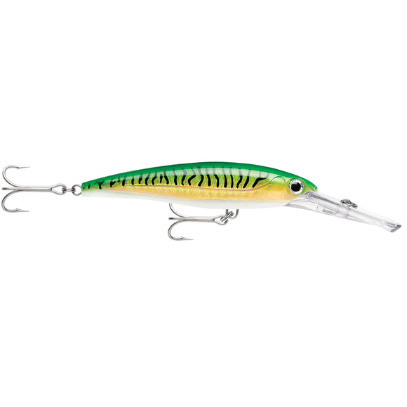 Rapala X-Rap® Magnum® 15 Gold Green Mackerel - Fishing Monsters