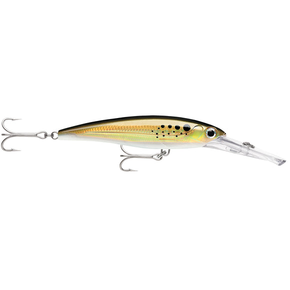 Rapala X-Rap® Magnum® 20 Bunker - Fishing Monsters